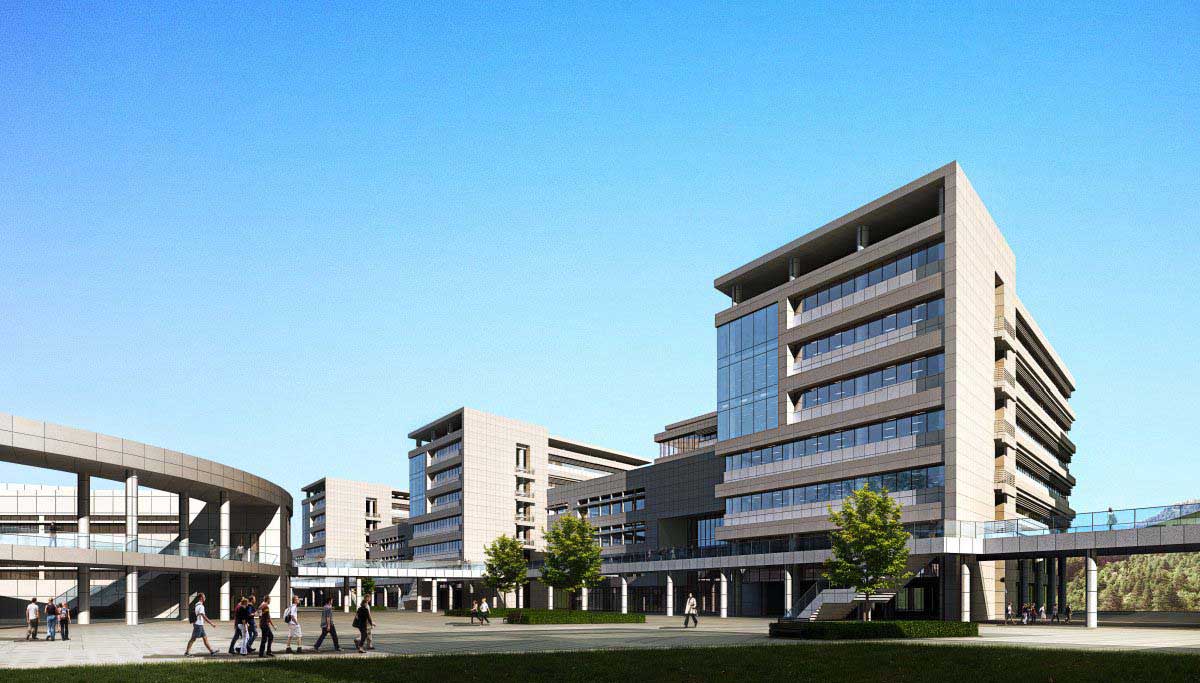 蘑菇视频网页版 - 轻量高清播放