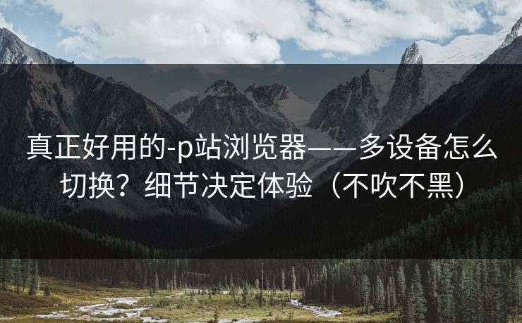 真正好用的-p站浏览器——多设备怎么切换？细节决定体验（不吹不黑）