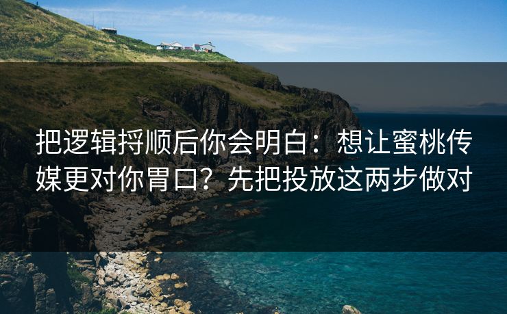 把逻辑捋顺后你会明白：想让蜜桃传媒更对你胃口？先把投放这两步做对